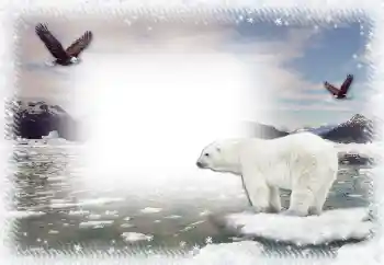 Εφέ φωτογραφιών στην κατηγορία Ο χειμώνας № 67044 Εφέ φωτογραφιών στην κατηγορία Ο χειμώνας № 67044