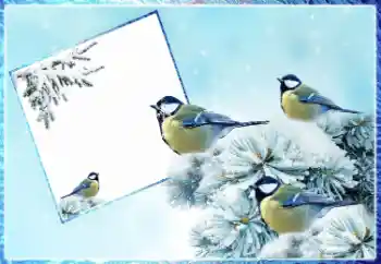 Εφέ φωτογραφιών στην κατηγορία Ο χειμώνας № 87962 Εφέ φωτογραφιών στην κατηγορία Ο χειμώνας № 87962