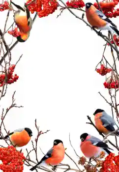 Εφέ φωτογραφιών στην κατηγορία Ο χειμώνας № 90578 Εφέ φωτογραφιών στην κατηγορία Ο χειμώνας № 90578