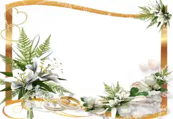 Εφέ φωτογραφιών στην κατηγορία Κορνίζες για φωτογραφίες γάμου № 139865