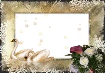 Εφέ φωτογραφιών στην κατηγορία Κορνίζες για φωτογραφίες γάμου № 58998