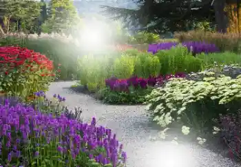 Εφέ φωτογραφιών στην κατηγορία Κορνίζες για φωτογραφίες γυναικών № 101176