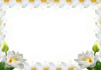 Εφέ φωτογραφιών στην κατηγορία Κορνίζες για φωτογραφίες γυναικών № 102569