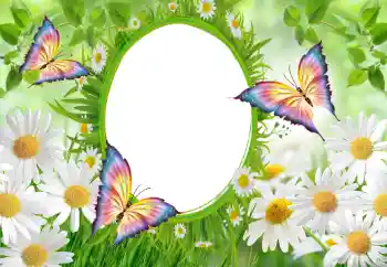 Εφέ φωτογραφιών στην κατηγορία Κορνίζες για φωτογραφίες γυναικών № 102747