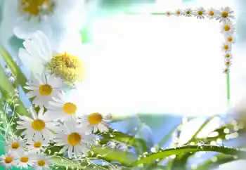 Εφέ φωτογραφιών στην κατηγορία Κορνίζες για φωτογραφίες γυναικών № 102749