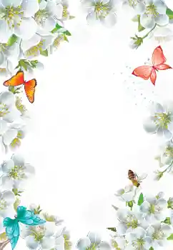 Εφέ φωτογραφιών στην κατηγορία Κορνίζες για φωτογραφίες γυναικών № 103777