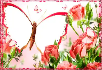 Εφέ φωτογραφιών στην κατηγορία Κορνίζες για φωτογραφίες γυναικών № 103883