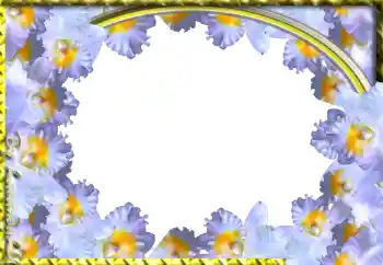 Εφέ φωτογραφιών στην κατηγορία Κορνίζες για φωτογραφίες γυναικών № 103943