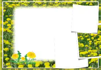 Εφέ φωτογραφιών στην κατηγορία Κορνίζες για φωτογραφίες γυναικών № 103949