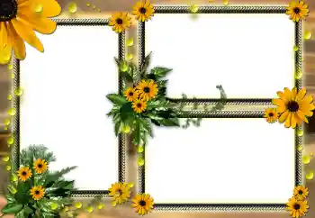 Εφέ φωτογραφιών στην κατηγορία Κορνίζες για φωτογραφίες γυναικών № 104030