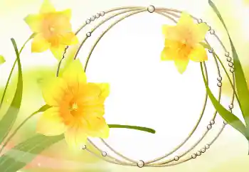 Εφέ φωτογραφιών στην κατηγορία Κορνίζες για φωτογραφίες γυναικών № 105478