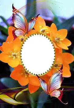 Εφέ φωτογραφιών στην κατηγορία Κορνίζες για φωτογραφίες γυναικών № 105575