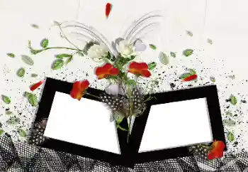 Εφέ φωτογραφιών στην κατηγορία Κορνίζες για φωτογραφίες γυναικών № 10830