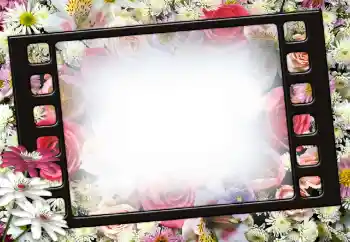 Εφέ φωτογραφιών στην κατηγορία Κορνίζες για φωτογραφίες γυναικών № 111956