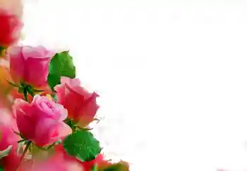 Εφέ φωτογραφιών στην κατηγορία Κορνίζες για φωτογραφίες γυναικών № 112139