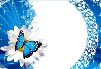 Εφέ φωτογραφιών στην κατηγορία Κορνίζες για φωτογραφίες γυναικών № 112249