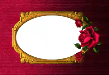 Εφέ φωτογραφιών στην κατηγορία Κορνίζες για φωτογραφίες γυναικών № 112254