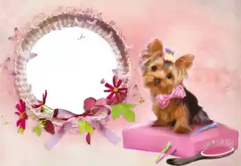 Εφέ φωτογραφιών στην κατηγορία Κορνίζες για φωτογραφίες γυναικών № 112337