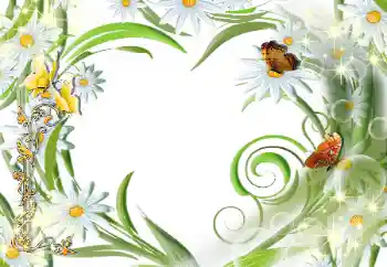 Εφέ φωτογραφιών στην κατηγορία Κορνίζες για φωτογραφίες γυναικών № 112507