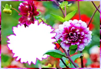 Εφέ φωτογραφιών στην κατηγορία Κορνίζες για φωτογραφίες γυναικών № 112519