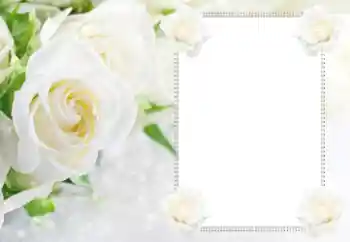 Εφέ φωτογραφιών στην κατηγορία Κορνίζες για φωτογραφίες γυναικών № 112529