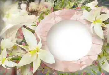 Εφέ φωτογραφιών στην κατηγορία Κορνίζες για φωτογραφίες γυναικών № 114219