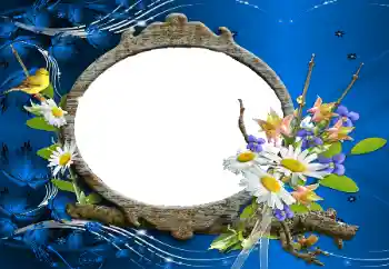 Εφέ φωτογραφιών στην κατηγορία Κορνίζες για φωτογραφίες γυναικών № 114227