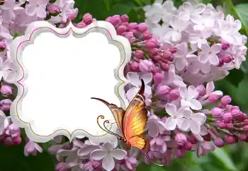 Εφέ φωτογραφιών στην κατηγορία Κορνίζες για φωτογραφίες γυναικών № 114264