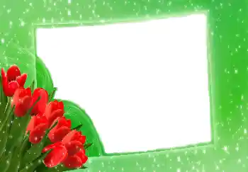 Εφέ φωτογραφιών στην κατηγορία Κορνίζες για φωτογραφίες γυναικών № 114275