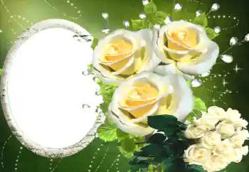 Εφέ φωτογραφιών στην κατηγορία Κορνίζες για φωτογραφίες γυναικών № 114330