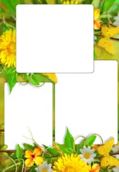 Εφέ φωτογραφιών στην κατηγορία Κορνίζες για φωτογραφίες γυναικών № 114738