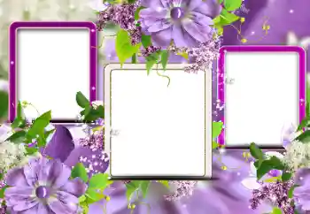 Εφέ φωτογραφιών στην κατηγορία Κορνίζες για φωτογραφίες γυναικών № 116124