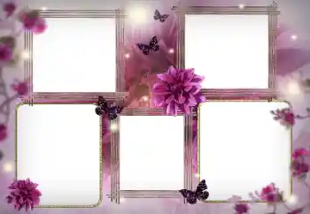 Εφέ φωτογραφιών στην κατηγορία Κορνίζες για φωτογραφίες γυναικών № 116128