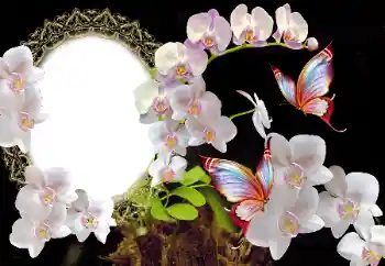 Εφέ φωτογραφιών στην κατηγορία Κορνίζες για φωτογραφίες γυναικών № 117349