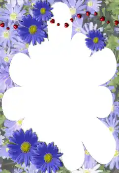 Εφέ φωτογραφιών στην κατηγορία Κορνίζες για φωτογραφίες γυναικών № 117528