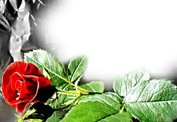 Εφέ φωτογραφιών στην κατηγορία Κορνίζες για φωτογραφίες γυναικών № 11831