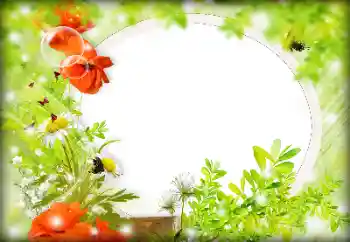 Εφέ φωτογραφιών στην κατηγορία Κορνίζες για φωτογραφίες γυναικών № 121087