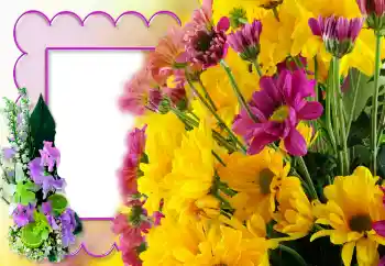 Εφέ φωτογραφιών στην κατηγορία Κορνίζες για φωτογραφίες γυναικών № 121140