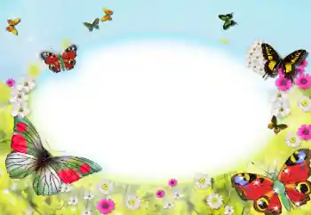 Εφέ φωτογραφιών στην κατηγορία Κορνίζες για φωτογραφίες γυναικών № 123207