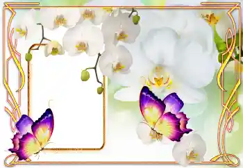 Εφέ φωτογραφιών στην κατηγορία Κορνίζες για φωτογραφίες γυναικών № 123218