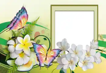 Εφέ φωτογραφιών στην κατηγορία Κορνίζες για φωτογραφίες γυναικών № 123226