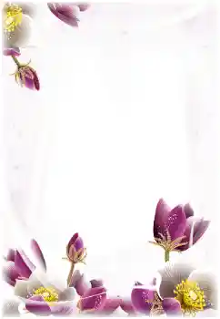 Εφέ φωτογραφιών στην κατηγορία Κορνίζες για φωτογραφίες γυναικών № 124368