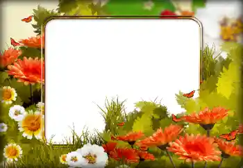 Εφέ φωτογραφιών στην κατηγορία Κορνίζες για φωτογραφίες γυναικών № 125650 Εφέ φωτογραφιών στην κατηγορία Κορνίζες για φωτογραφίες γυναικών № 125650