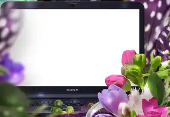 Εφέ φωτογραφιών στην κατηγορία Κορνίζες για φωτογραφίες γυναικών № 125847