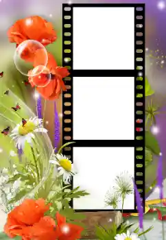 Εφέ φωτογραφιών στην κατηγορία Κορνίζες για φωτογραφίες γυναικών № 125912