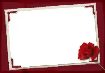 Εφέ φωτογραφιών στην κατηγορία Κορνίζες για φωτογραφίες γυναικών № 125924