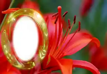 Εφέ φωτογραφιών στην κατηγορία Κορνίζες για φωτογραφίες γυναικών № 126945