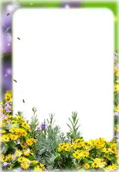 Εφέ φωτογραφιών στην κατηγορία Κορνίζες για φωτογραφίες γυναικών № 127113