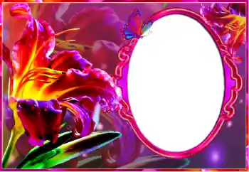 Εφέ φωτογραφιών στην κατηγορία Κορνίζες για φωτογραφίες γυναικών № 127185