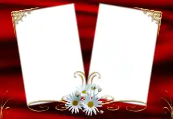 Εφέ φωτογραφιών στην κατηγορία Κορνίζες για φωτογραφίες γυναικών № 127215